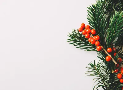 Spread Cheer This Holiday Season with These 25 Heartwarming Greeting Quotes 🎄🎉