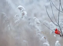 Get a laugh this holiday season with these hilarious and heartwarming wishes 🎄🤣🎅 #HolidayQuotes #FunnyWishes