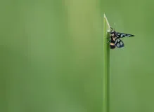 Spread Love and Happiness this Season with Heartwarming Holiday Wishes 🎁❤️ 21