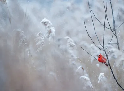 Spread Joy this Holiday with Heartwarming Friend Quotes 🎁🎉