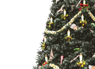 Spread the Festive Cheer: Top Business Holiday Wishes and Quotes! 🎄