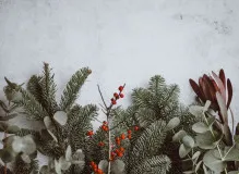 Spread Joy This Holiday Season with These Inspiring Wishes and Quotes 🎉🌟 #HolidaySpirit #WishesAndQuotes 35