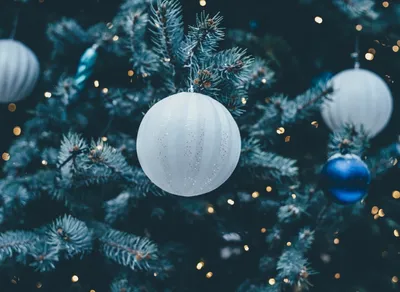 Get Ready to Laugh: Hilarious Holiday Wishes Quotes