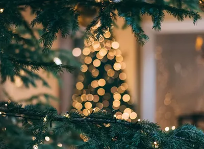 Spread Joy and Cheer with These Festive Holiday Greeting Quotes 🎅🎁🎉