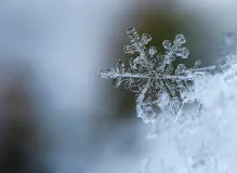 Spread joy with heartfelt holiday wishes for clients