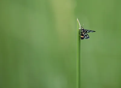 Spread Love and Happiness this Season with Heartwarming Holiday Wishes 🎁❤️