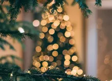 Spread Joy and Cheer with These Festive Holiday Greeting Quotes 🎅🎁🎉 38