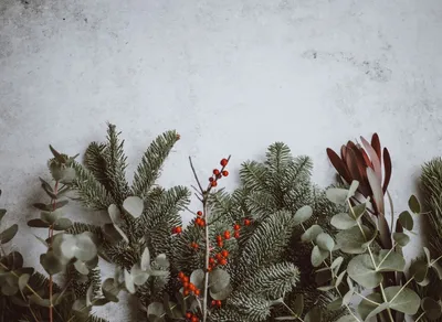 Spread Joy This Holiday Season with These Inspiring Wishes and Quotes 🎉🌟 #HolidaySpirit #WishesAndQuotes