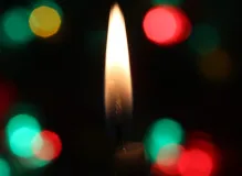 Spread joy this season with our top holiday business wishes! 🎉