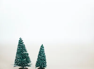 Spread the Joy this Season: 10 Heartwarming and Creative Holiday Greetings 🎉🎄🌟