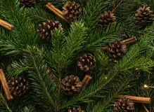 Spread Joy at Work with Heartfelt Holiday Wishes for Coworkers!