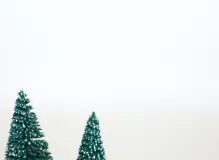 Spread Cheer: 25 Festive Holiday Wishes to Brighten Anyone's Day 🎄🎁 29