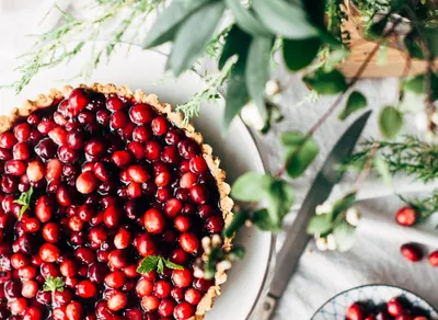 Spread Cheer this Holiday Season with the Perfect Wishes Message 🎅🎁🎄