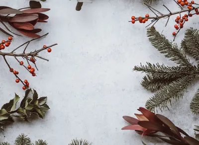 Spread Some Cheer This Holiday Season with These Festive Greeting Quotes 🎄🎁🎉