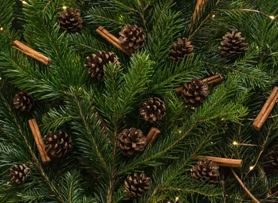 🎉Share the Joy: Best Holiday Wishes for Your Friends - Get Inspired by Our Top Quotes! 🎁