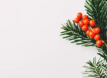 Spread Cheer This Holiday Season with These 25 Heartwarming Greeting Quotes 🎄🎉 41